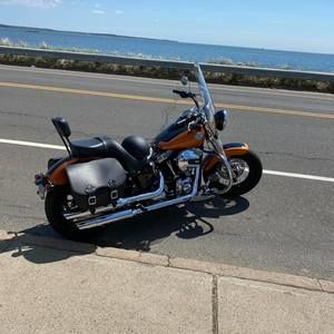 Meet your Posher, Ralph